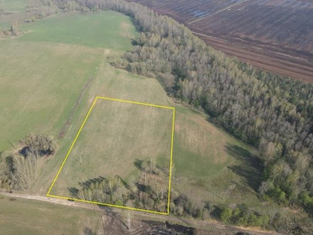 1,7100 HA Širvintų r. sav., Jauniūnų sen., Šalkiškių k.